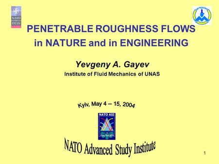 PENETRABLE ROUGHNESS FLOWS in NATURE and in ENGINEERING