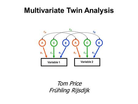 Multivariate Twin Analysis