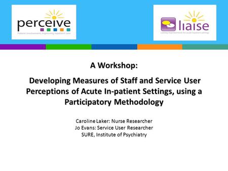 A Workshop: Developing Measures of Staff and Service User Perceptions of Acute In-patient Settings, using a Participatory Methodology Caroline Laker: