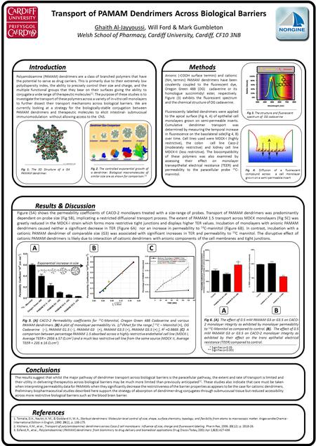 Transport of PAMAM Dendrimers Across Biological Barriers Ghaith Al-Jayyoussi, Will Ford & Mark Gumbleton Welsh School of Pharmacy, Cardiff University,