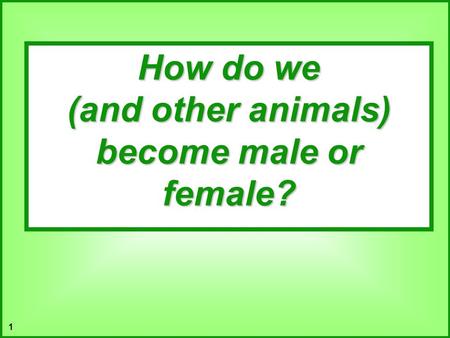 (and other animals) become male or female?