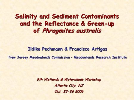 Salinity and Sediment Contaminants and the Reflectance & Green-up of Phragmites australis Ildiko Pechmann & Francisco Artigas New Jersey Meadowlands Commission.