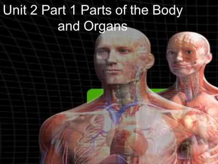 Unit 2 Part 1 Parts of the Body and Organs. 1 body.