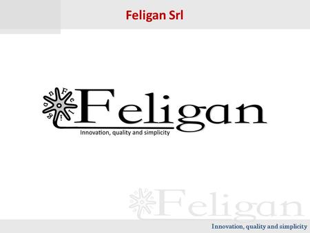 Innovation, quality and simplicity Feligan Srl. Innovation, quality and simplicity Multicaricatori Feligan Ricarica e alimenta qualsiasi dispositivo elettronico.