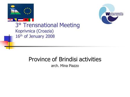 3° Trensnational Meeting Koprivnica (Croazia) 16 th of Jenuary 2008 Province of Brindisi activities arch. Mina Piazzo.