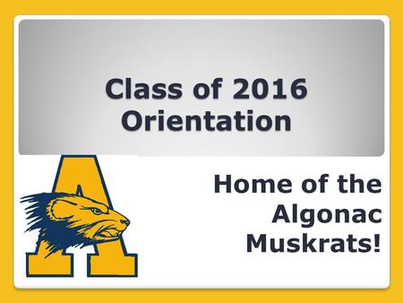 Class of 2016 Orientation Home of the Algonac Muskrats!