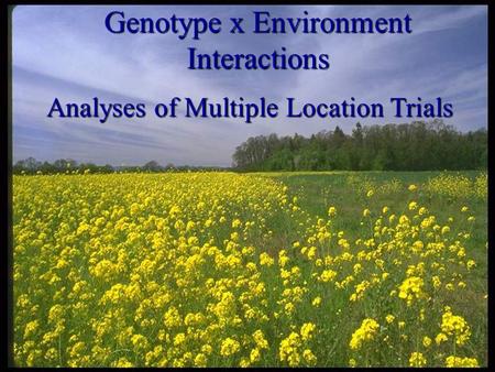 Genotype x Environment Interactions Analyses of Multiple Location Trials.