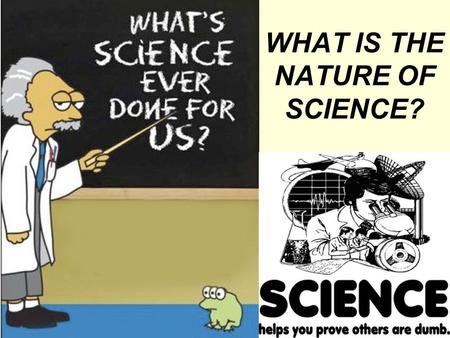 WHAT IS THE NATURE OF SCIENCE?. THEORIES ARE THE SCIENTIFIC WORLD VIEW 1.The Universe Is Understandable. 2.The Universe Is a Vast Single System In Which.