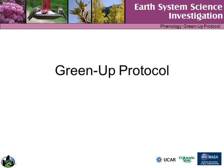 Phenology: Green-Up Protocol Green-Up Protocol. Phenology: Green-Up Protocol Inquiry Context How long does green-up take for a given species? How does.