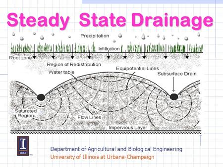 Steady State Drainage Department of Agricultural and Biological Engineering University of Illinois at Urbana-Champaign.