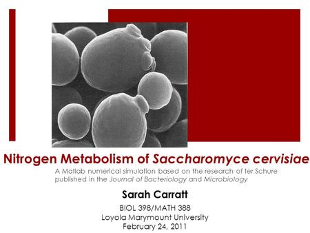 Nitrogen Metabolism of Saccharomyce cervisiae A Matlab numerical simulation based on the research of ter Schure published in the Journal of Bacteriology.