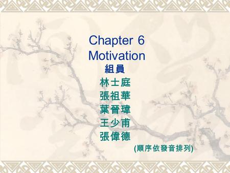 Chapter 6 Motivation 組員 林士庭 張祖華 葉晉瑋 王少甫 張偉德 ( 順序依發音排列 )