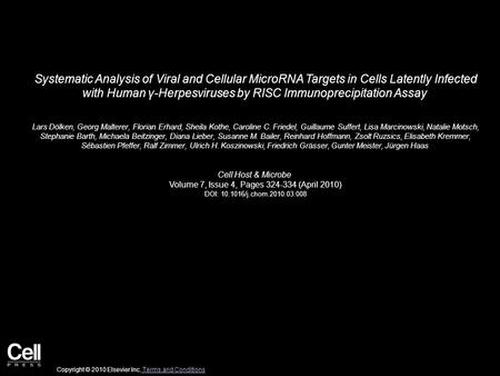 Systematic Analysis of Viral and Cellular MicroRNA Targets in Cells Latently Infected with Human γ-Herpesviruses by RISC Immunoprecipitation Assay Lars.