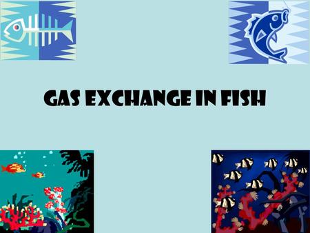 Gas Exchange in fish. Gas exchange in fish - gills The gas exchange organs in fish are the gills. Like other animals, fish require a gas exchange surface.