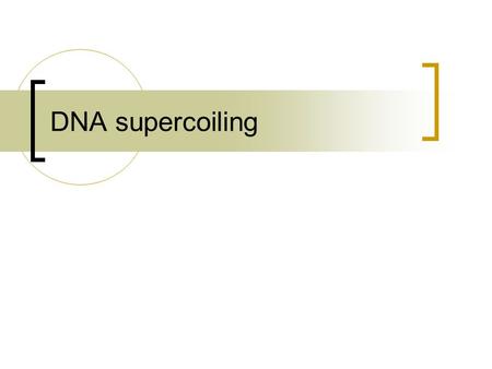 DNA supercoiling. DNA is a big molecule Ruptured viral particle (bacteriophage) X95 000 DNA about 1.7µm © 2010 Paul Billiet ODWSODWS.