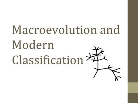 Macroevolution and Modern Classification