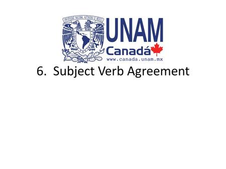 6. Subject Verb Agreement. Singular Nouns A singular subject (noun) needs to be used with a singular verb. – Joel speaks French. – singular subject +