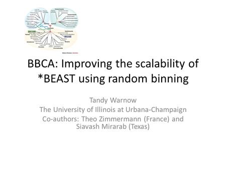 BBCA: Improving the scalability of *BEAST using random binning Tandy Warnow The University of Illinois at Urbana-Champaign Co-authors: Theo Zimmermann.