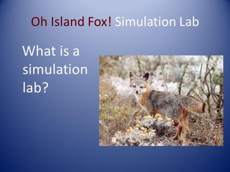 Oh Island Fox! Simulation Lab What is a simulation lab?