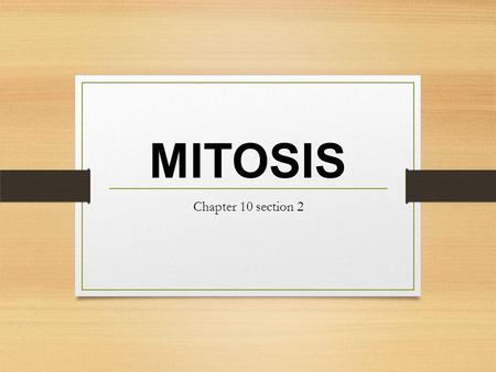 Chapter 10 section 2 MITOSIS. How do little elephants grow up to be BIG elephants?