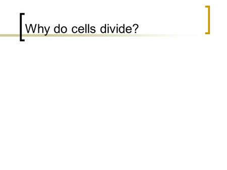 Why do cells divide?. The Cell Cycle Why do cells divide? Repair Growth Reproduction  Some organisms reproduce by cell division (asexual) Limit on size.