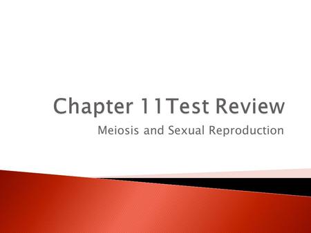 Meiosis and Sexual Reproduction.  Of the following organisms, which is haploid (one set of chromosomes) and which is diploid (two sets of chromosomes)?