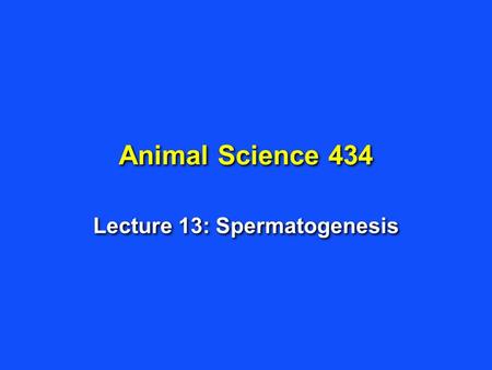 Animal Science 434 Lecture 13: Spermatogenesis. Production of Fertile Sperm hormonal regulation of the testis mitotic division of spermatogonia meiotic.