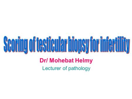 Dr/ Mohebat Helmy Lecturer of pathology. Diagrammatic view of testis, epididymis, and portion of ductus (vas) deferens.