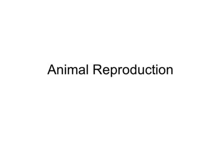 Animal Reproduction.