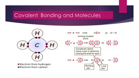 Covalent Bonding and Molecules. Atoms and Stability  Atoms bond with other atoms to become stable. 