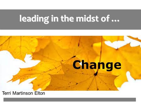 Leading in the midst of … Change Terri Martinson Elton.