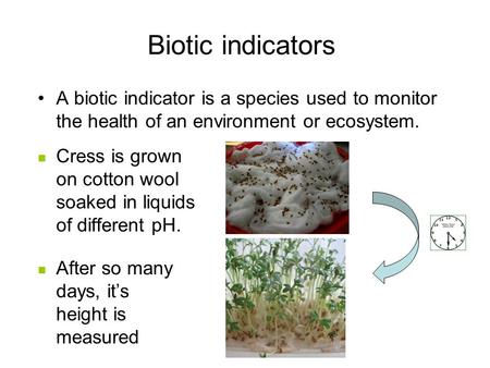 Biotic indicators A biotic indicator is a species used to monitor the health of an environment or ecosystem. Cress is grown on cotton wool soaked in liquids.