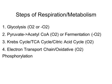 Steps of Respiration/Metabolism 1. Glycolysis (O2 or -O2) 2. Pyruvate->Acetyl CoA (O2) or Fermentation (-O2) 3. Krebs Cycle/TCA Cycle/Citric Acid Cycle.