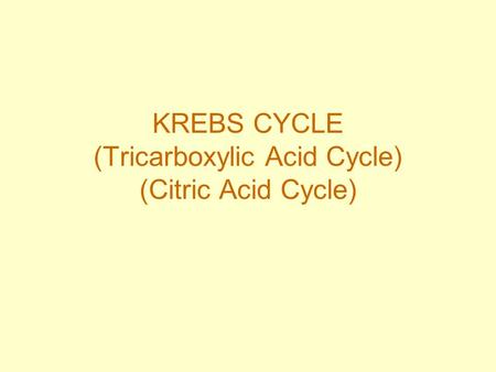 KREBS CYCLE (Tricarboxylic Acid Cycle) (Citric Acid Cycle)