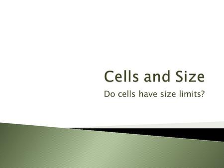 Do cells have size limits?.  Cells can range from 2µm to 200µm (10⁻⁶m).  µm = millionth of a meter or 0.000001m  Most eukaryotic cells are about 10µm.