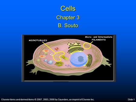 Elsevier items and derived items © 2007, 2003, 2000 by Saunders, an imprint of Elsevier Inc.Slide 1 Cells Chapter 3 B. Souto.