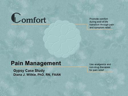 Gypsy Case Study Diana J. Wilkie, PhD, RN, FAAN. Slide 2 Comfort: Pain Management Case Studies: Gypsy TNEEL-NE Case Study: Gypsy When the science and.