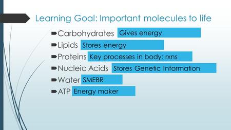 Learning Goal: Important molecules to life  Carbohydrates  Lipids  Proteins  Nucleic Acids  Water  ATP Gives energy Stores energy Key processes in.