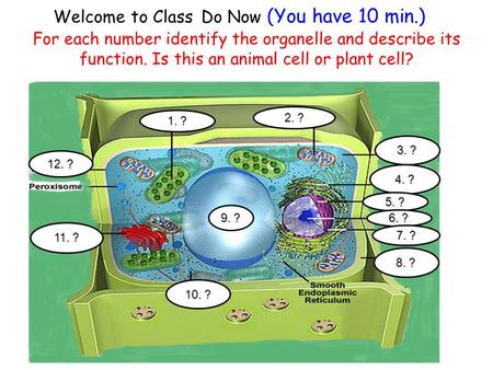 Welcome to Class Do Now (You have 10 min.)