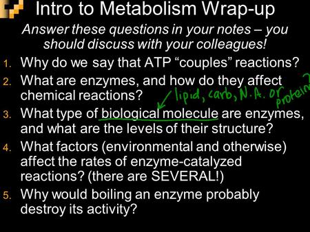 Intro to Metabolism Wrap-up Answer these questions in your notes – you should discuss with your colleagues! 1. Why do we say that ATP “couples” reactions?