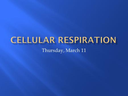 Thursday, March 11.  Cellular respiration  Harvesting energy from glucose using O 2  Use of O 2 = aerobic  C 6 H 12 O 6 + O 2  6CO 2 + 6H 2 O + energy.