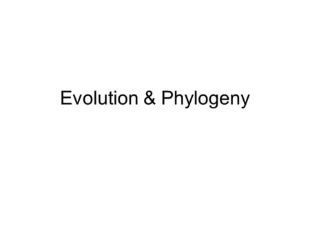 Evolution & Phylogeny. Evidence Used to Construct History Comparative Morphology of Living forms: Comparative Embryology: Comparative Molecular Biology: