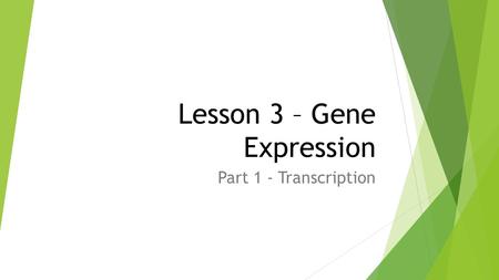 Lesson 3 – Gene Expression