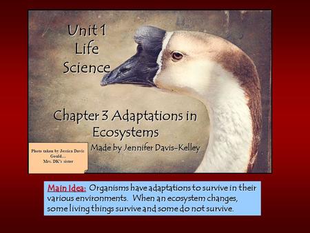 Main Idea: Organisms have adaptations to survive in their various environments. When an ecosystem changes, some living things survive and some do not survive.