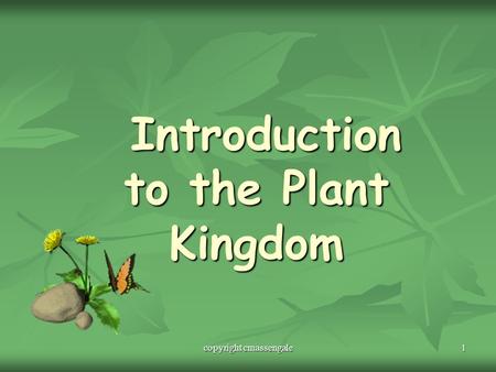 Introduction to the Plant Kingdom