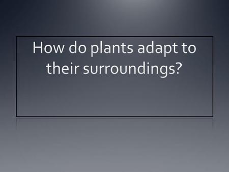 How do plants adapt to their surroundings?