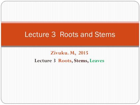 Lecture 3 Roots and Stems