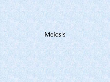 Meiosis. VOCAB THAT MUST BE KNOWN Ploidy: 1n, Haploid 2n, Diploid Chromatid Homologous chromsomes Tetrad Crossing Over.