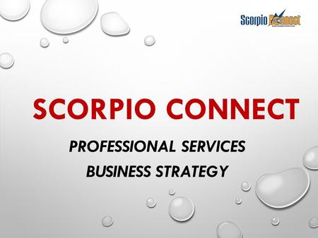 Professional Services Business Strategy