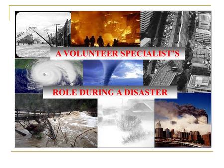 A VOLUNTEER SPECIALIST’S ROLE DURING A DISASTER. 2-1-1’s Role 2-1-1 serves as a comprehensive and primary entry point into community service information.